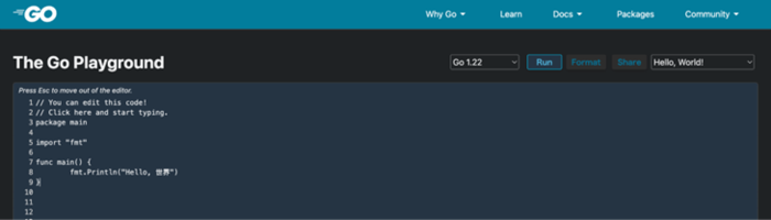 The Go Playground.png