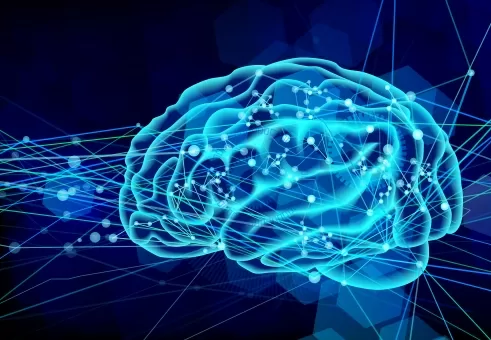 AI_software2_main1